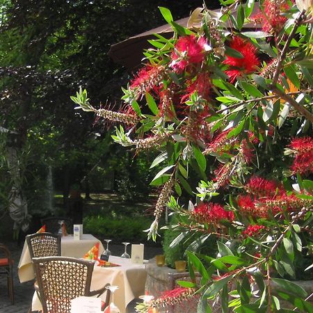 Landidyll Wilminks Parkhotel 诺伊基兴 外观 照片