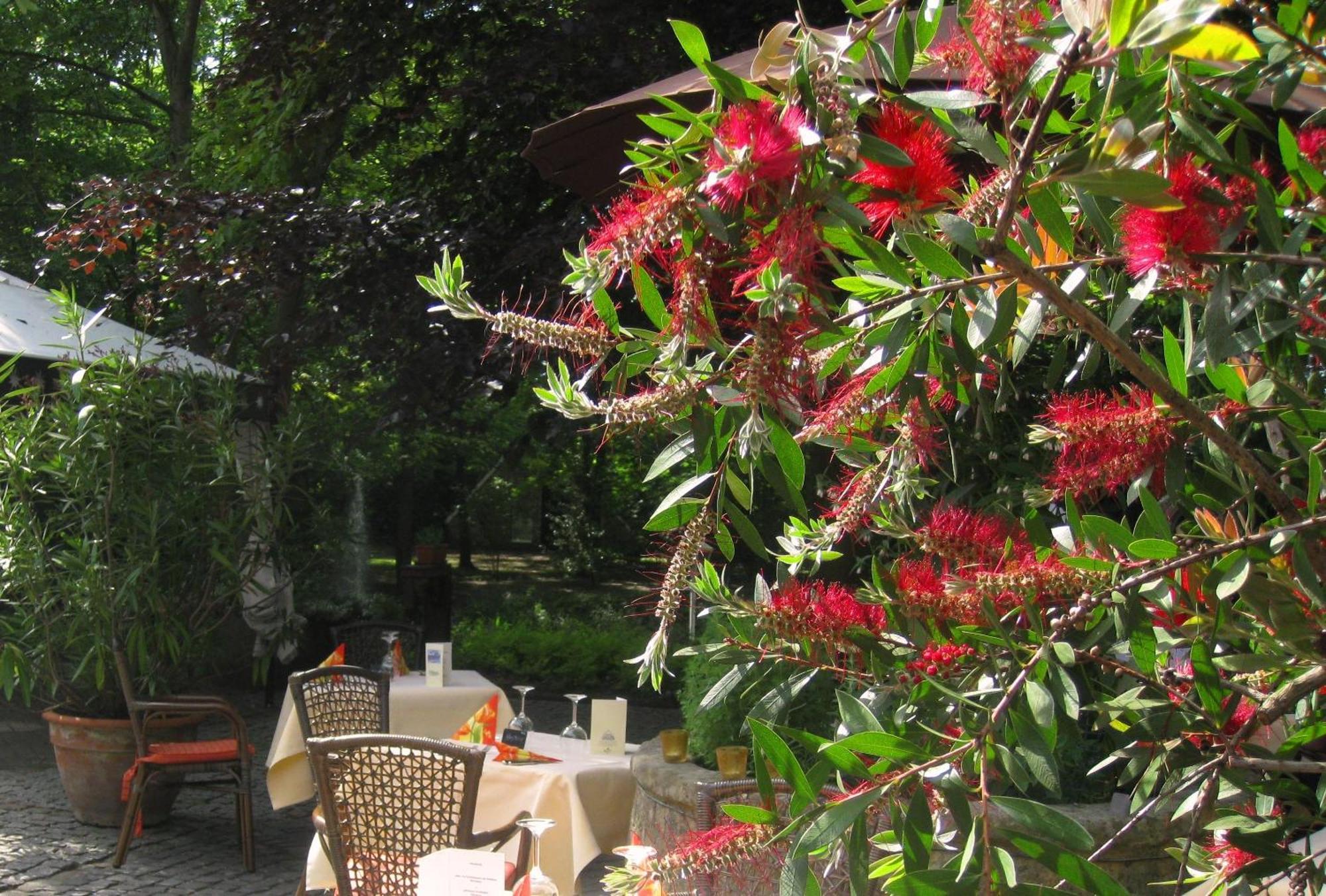 Landidyll Wilminks Parkhotel 诺伊基兴 外观 照片